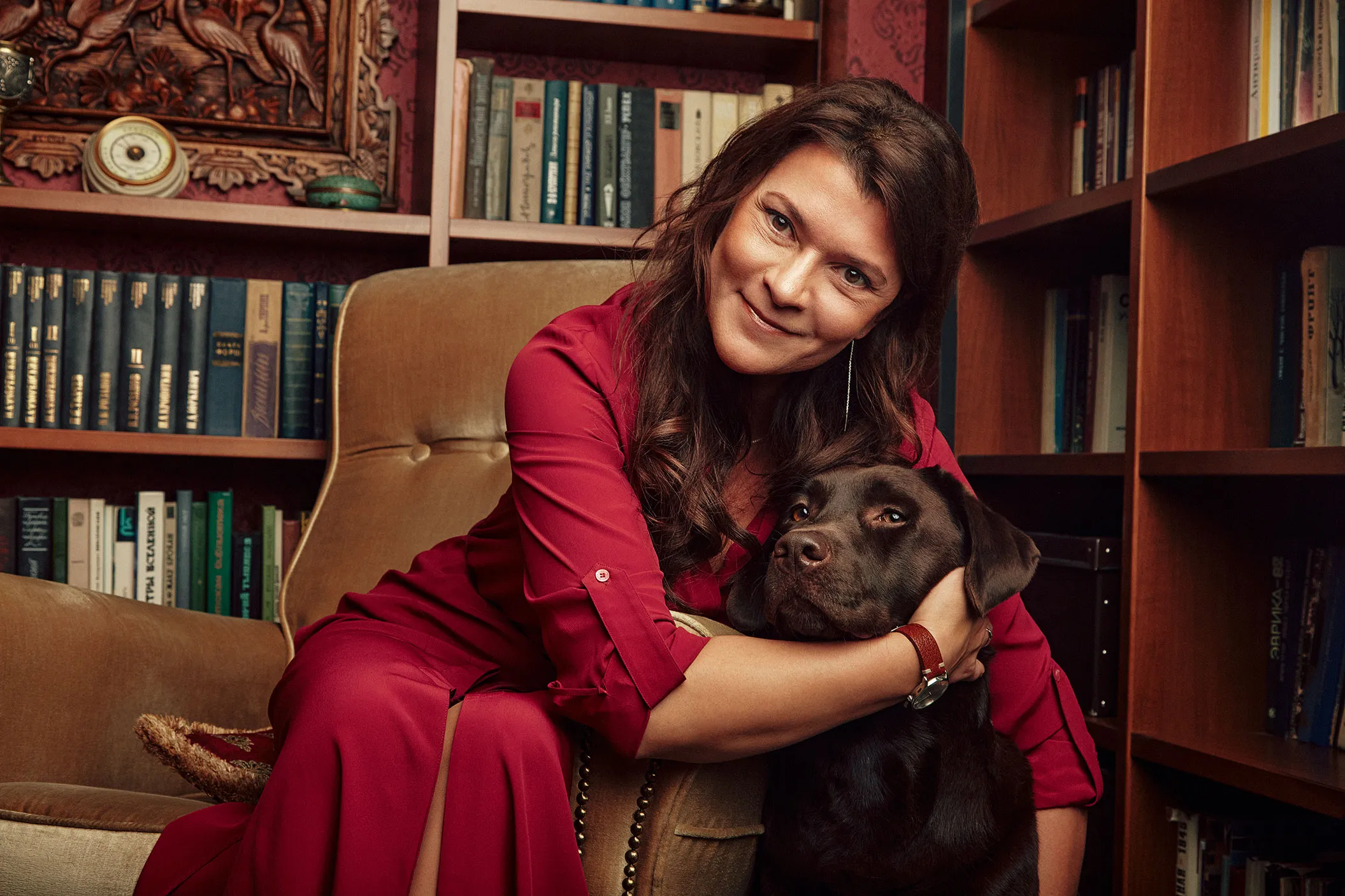 Zetta the chocolate Labrador