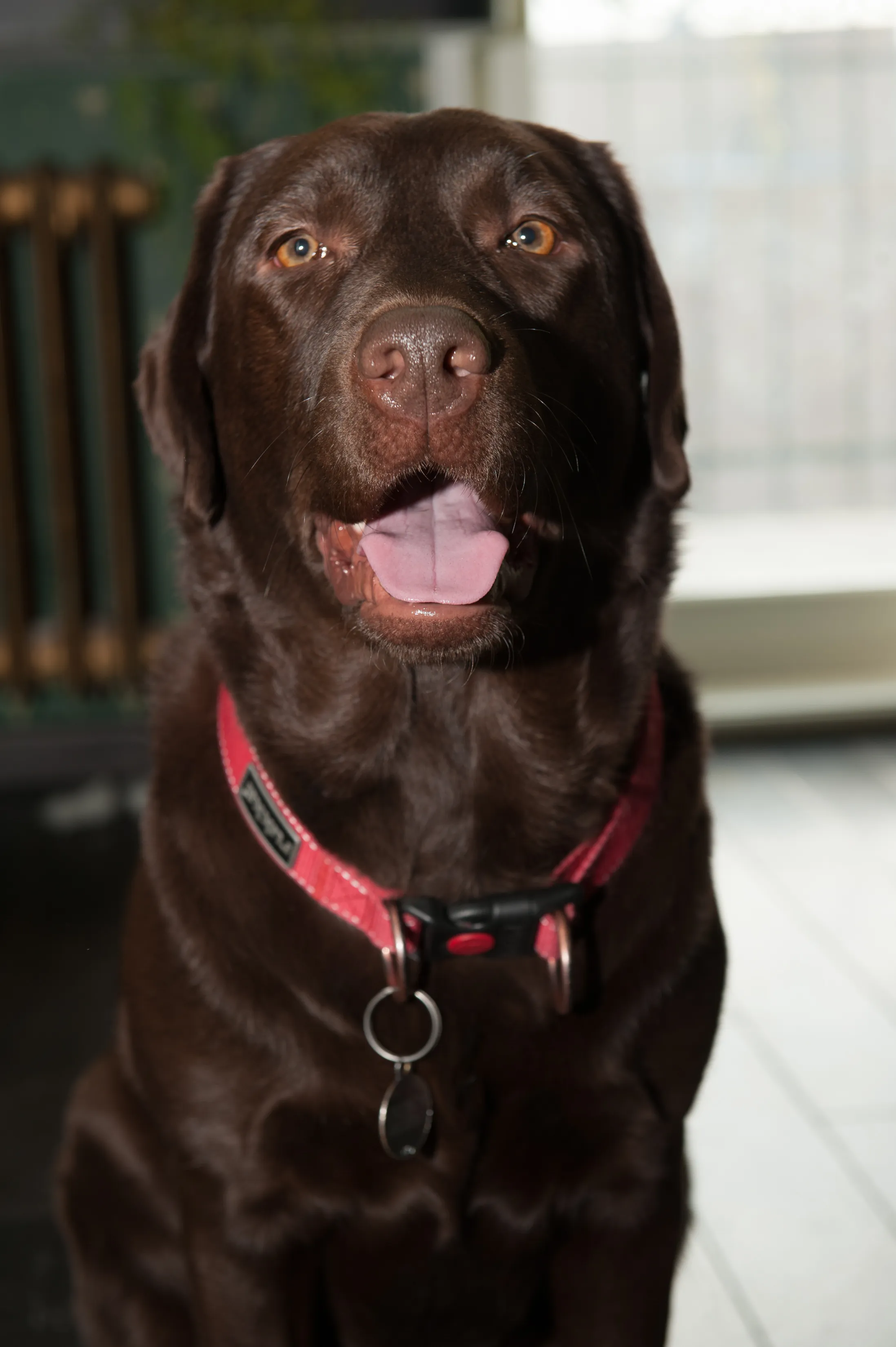 Zetta in a thoughtful moment